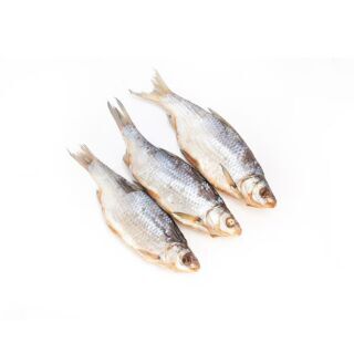 Fish scale